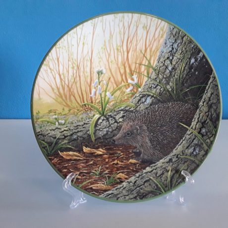 (60) (CK06060) (The Wary Hedgehog).Rollisons Portraits Of Nature.Limited Edition Fine Porcelain Decorative Plate. 25.00 euros.