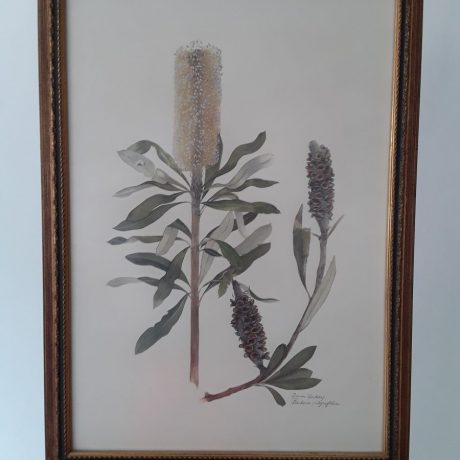 (130) (CK14117) Plant Print In An Ornate Gold Coloured Frame.63cm x 45cm.35.00 euros. (2)