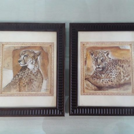 (40) (CK14040) Animal Prints.36cm x 30cm.20.00 euros.