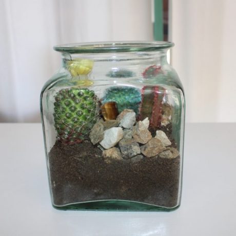 CK13102N Cactus In A Glass Jar 20 euros