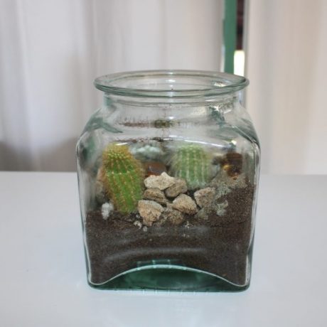 CK13219N Cactus In A Glass Jar 20 euro