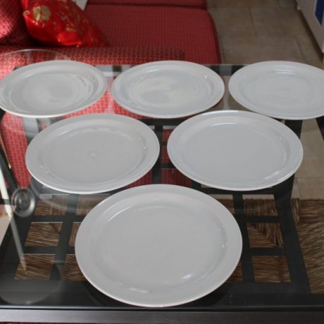 CK06048N Six Matching Ceramic Dinner Plates 25cm Diameter 4 euro
