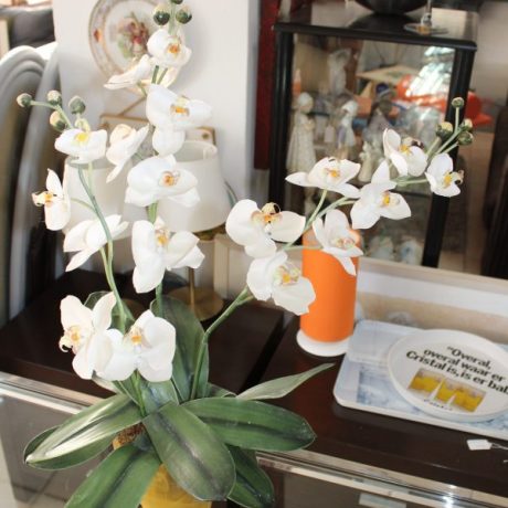 CK05034N Artificial Orchids 62cm High 12 euros