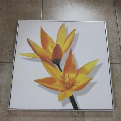 CK14141N Flower Print On Canvas 50cm x 50cm 16 euros