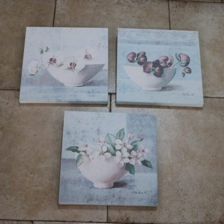 CK14246N Three Matching Canvas Prints 30cm x 30cm 15 euros